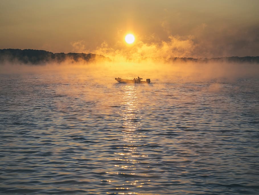 brown boat on calm body of water, fog, tree, sky, fishing, mist HD wallpaper
