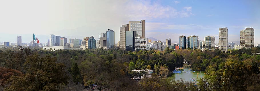 mexico, mexico city, chapultepec, tree, buildings, downtown, HD wallpaper