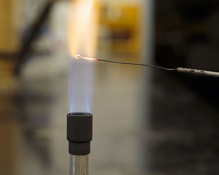 Flaming a microbiology wire loop using asepting technique, bunsen