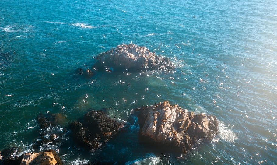 rocks on sea, ocean, water, outdoors, nature, reef, sea life, HD wallpaper