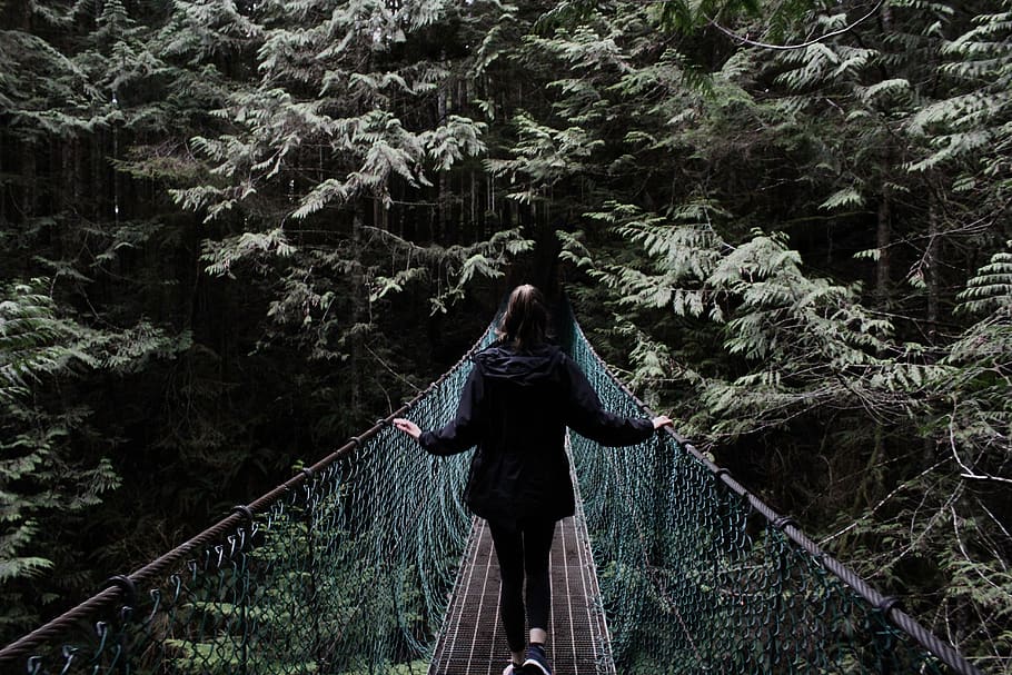 woman walking on hanging bridge, building, suspension bridge