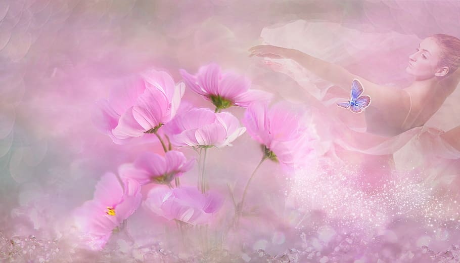 fantasy, flowers, tender, dancer, spring, flowering plant, pink color HD wallpaper
