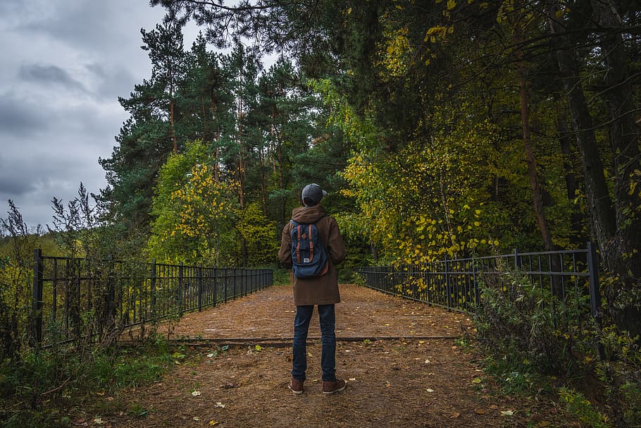Man Standing in Front of Trees, backpack, bridge, cap, daylight HD wallpaper