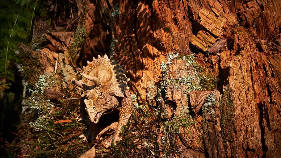 dinosaur, forest, animal themes, animals in the wild, animal wildlife HD wallpaper
