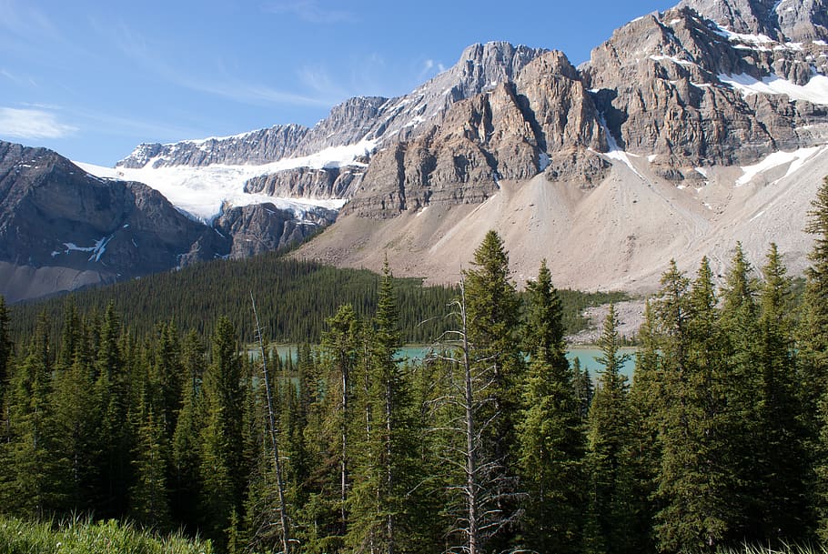 alberta, canada, mountain, landscape, nature, trees, scenic HD wallpaper