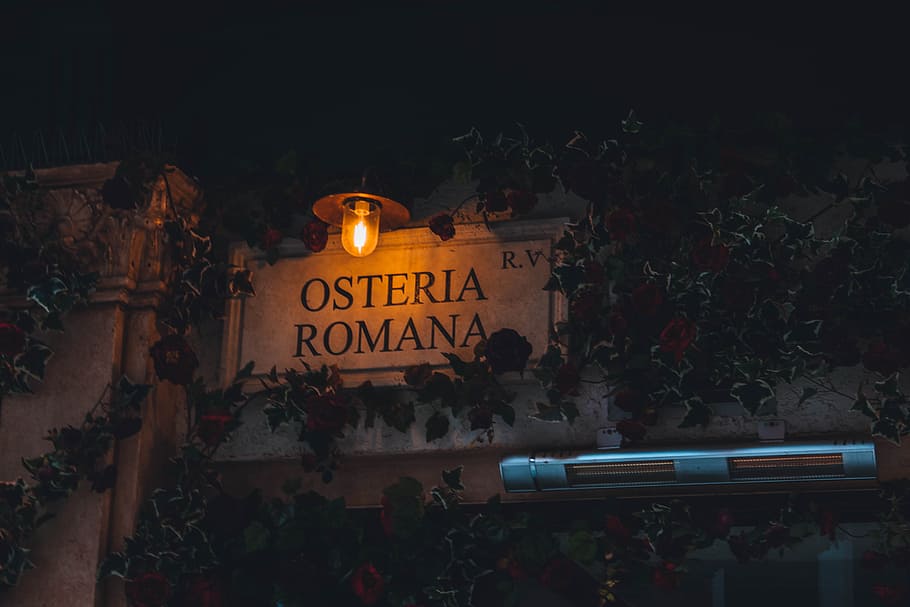 Person Showing Light Bulb, dark, leaves, lightbulb, osteria romana HD wallpaper