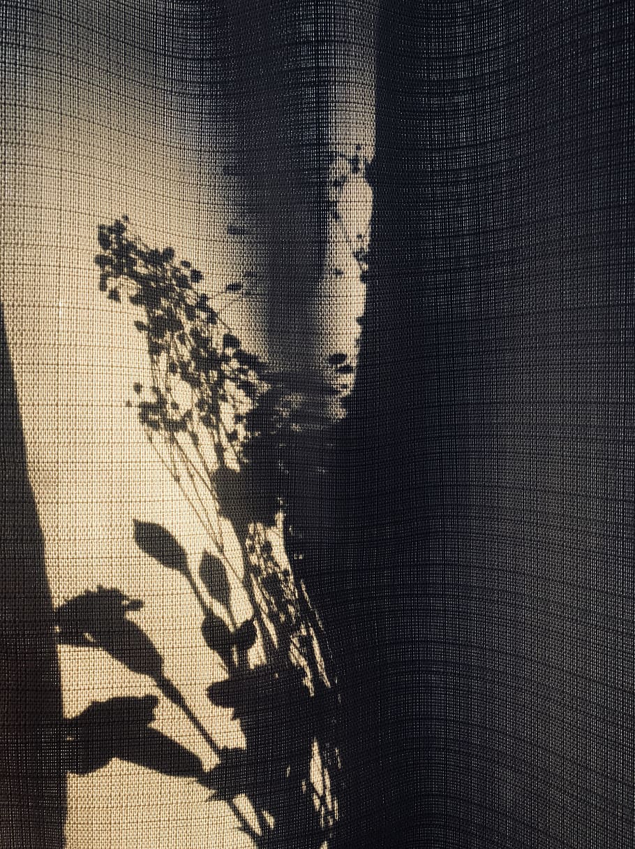 sun, shadow, flowers, case, vase, window, curtain, background HD wallpaper