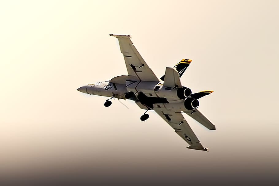 model, jet, remote, control, plane, airplane, rcedf, fly, air vehicle HD wallpaper