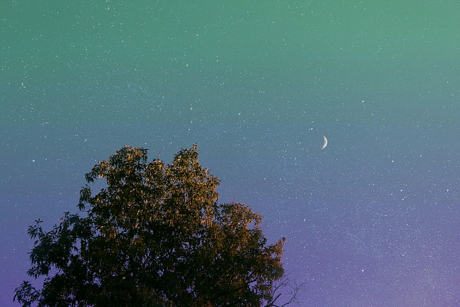 night, moon, stars, tree, sky, colors, makeday, astronomy, space, HD wallpaper