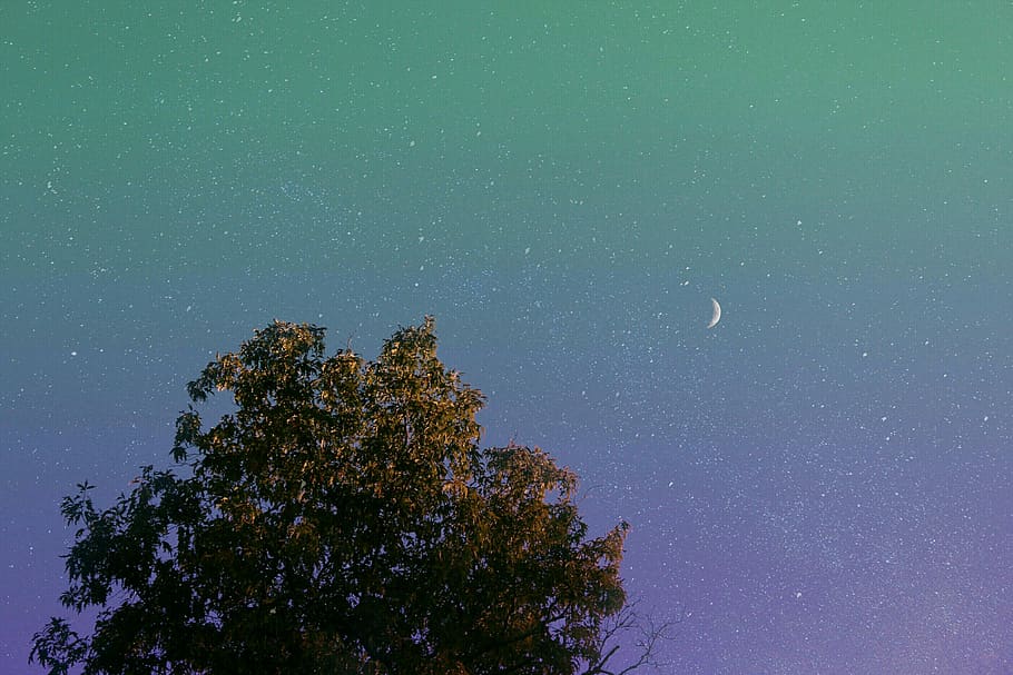 night, moon, stars, tree, sky, colors, makeday, astronomy, space HD wallpaper