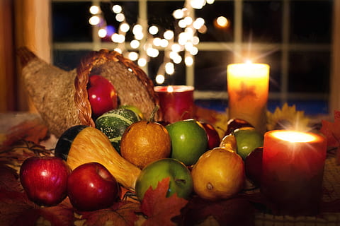 thanksgiving, cornucopia, fruit, autumn, harvest, holiday, abundance HD wallpaper