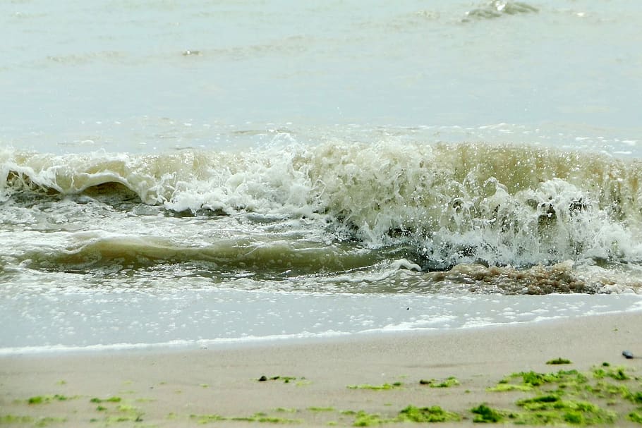 sea, nature, water, motion, wave, beach, beauty in nature, land HD wallpaper