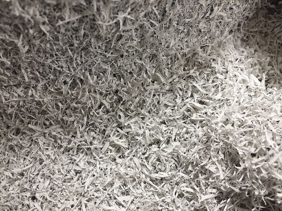 texture, white, gray, light, dark, shadow, shavings, moss, plant HD wallpaper