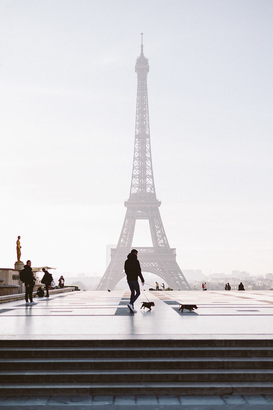 Man Walking With Dog Near Eiffel Tower of Paris, architecture HD wallpaper