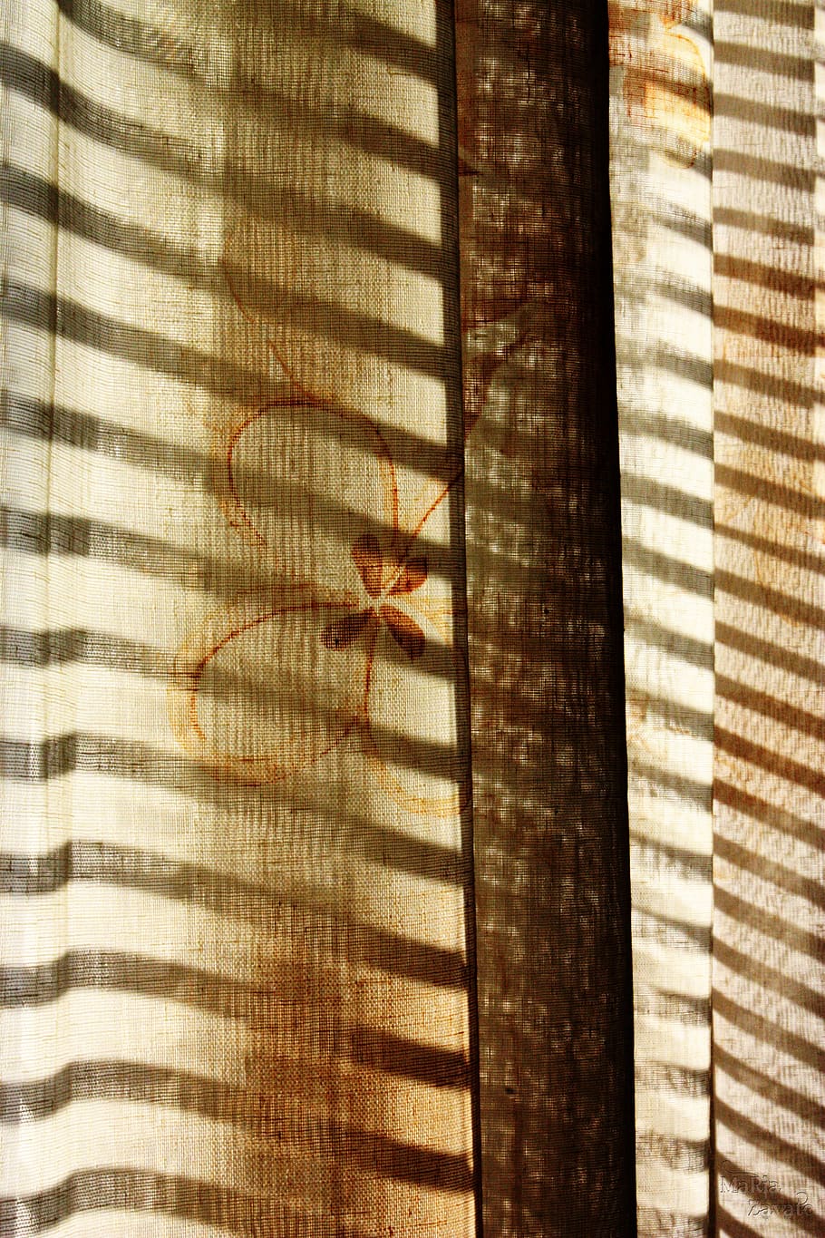rays, courtain, window, mood, warm, shadows, sunset, sunlight HD wallpaper