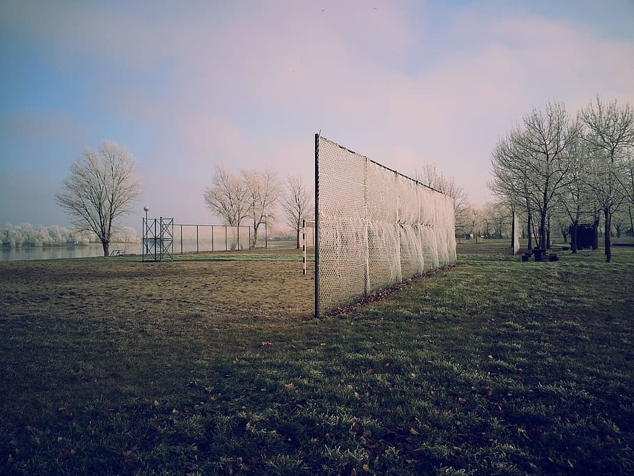 landscape, tree, nature, grass, horizon, fence, cloud, sky HD wallpaper