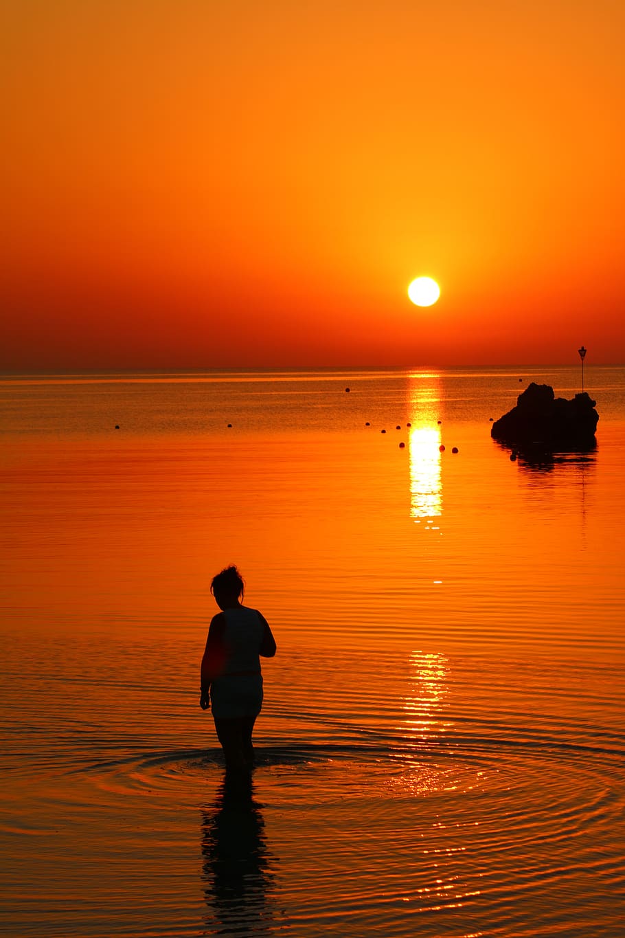 sunrise, sea, ocean, beach, lake, nature, summer, wave, coast HD wallpaper
