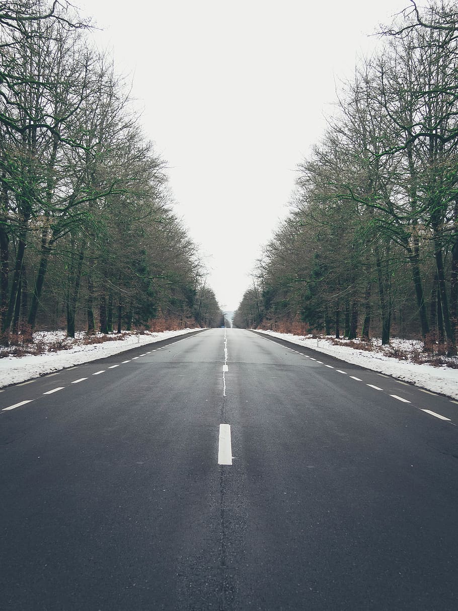 road, way, highway, tarmac, asphalt, tree, plant, apparel, sleeve HD wallpaper