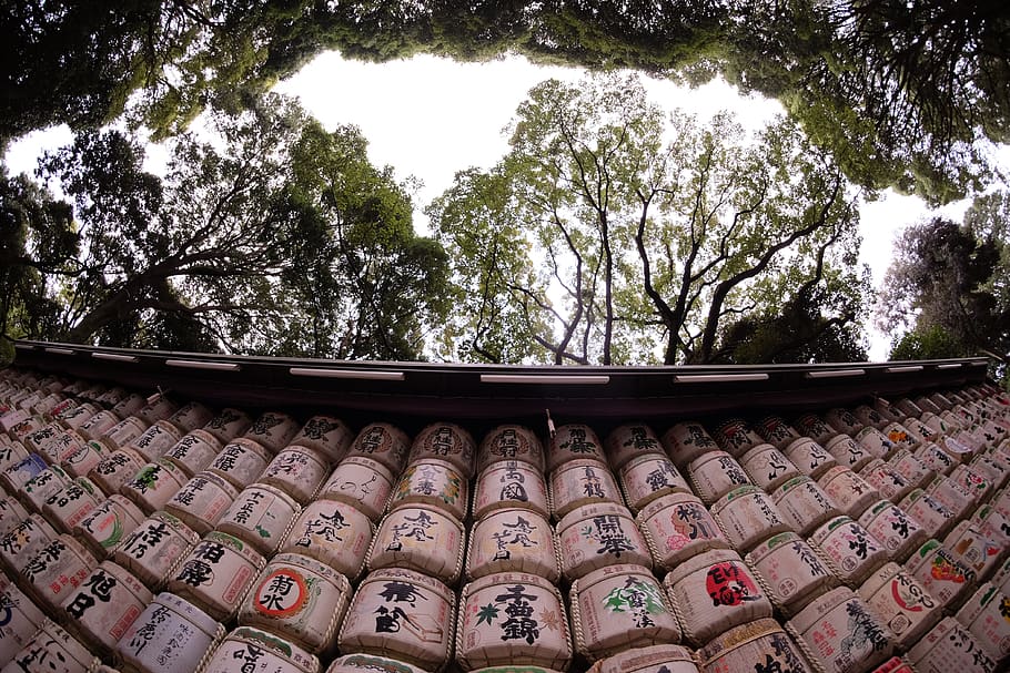 tree, no people, low angle view, architecture, day, plant, nature HD wallpaper