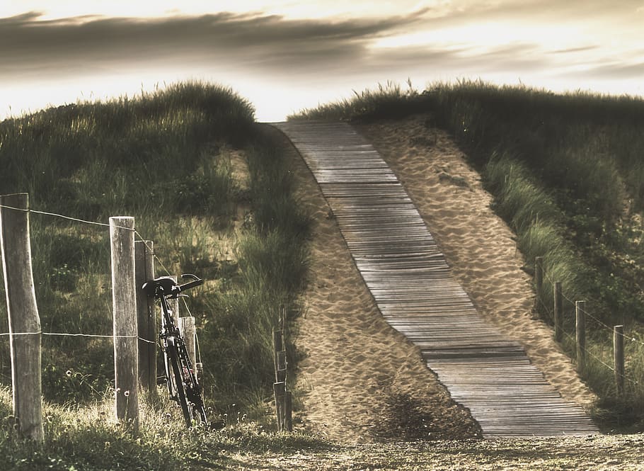 bicycle, beach, ocean, plant, grass, land, nature, no people HD wallpaper
