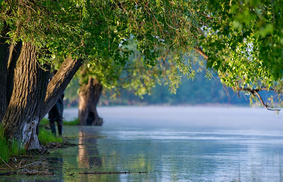 water, nature, green, river, landscape, beautiful, natural HD wallpaper