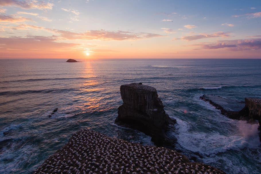 new zealand, muriwai, nz, ocean, beach, sky, waves, sunset, HD wallpaper