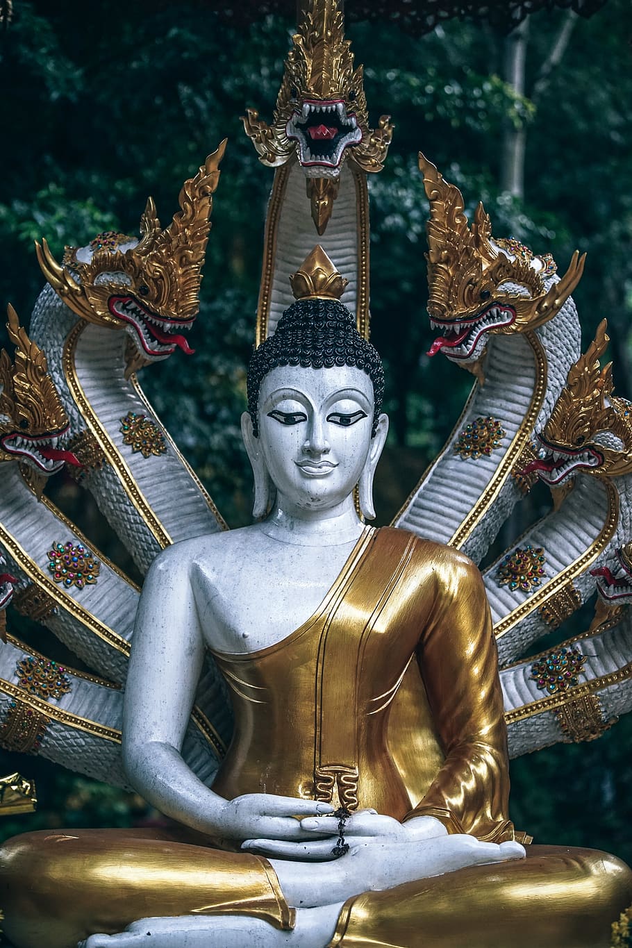 Macro Shot Photography of Gautama Buddha Figurine, ancient, antique, HD wallpaper