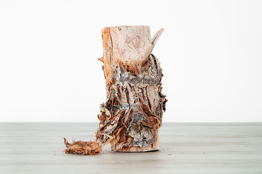 tree stump, wood, tan, brown, dry, rotten, old, bark, minimal HD wallpaper