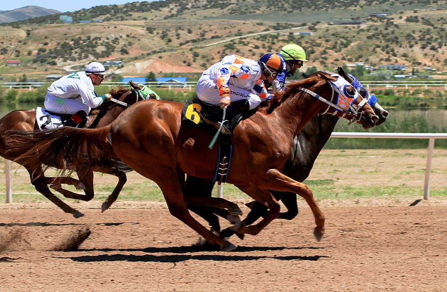 horse racing, track, jockey, sport, horses, rider, equestrian