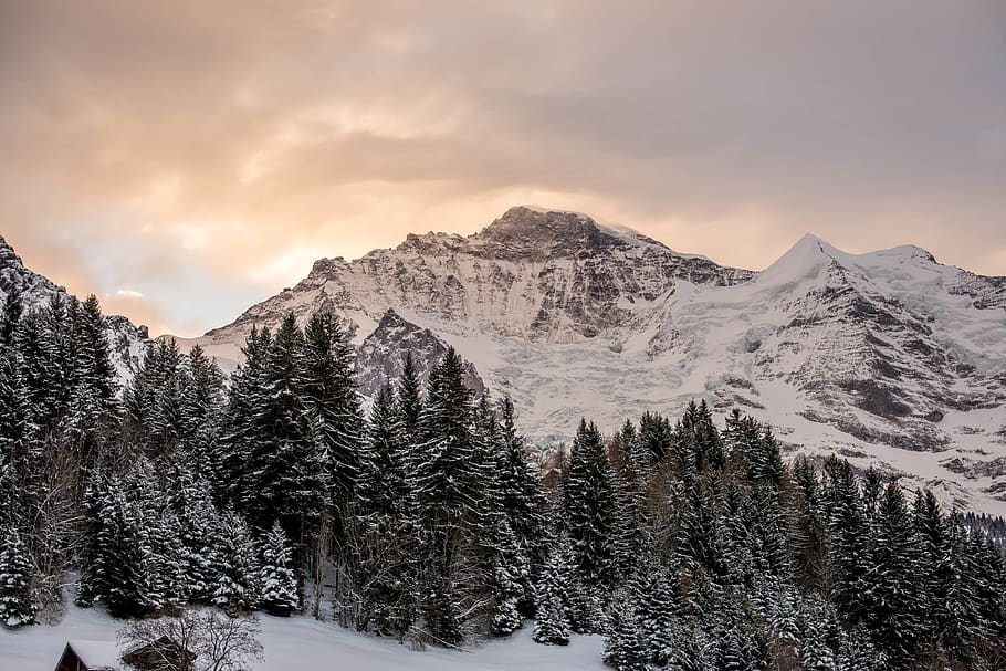 snow, mountain, winter, mountain peak, cold, jungfrau, bernese alps HD wallpaper