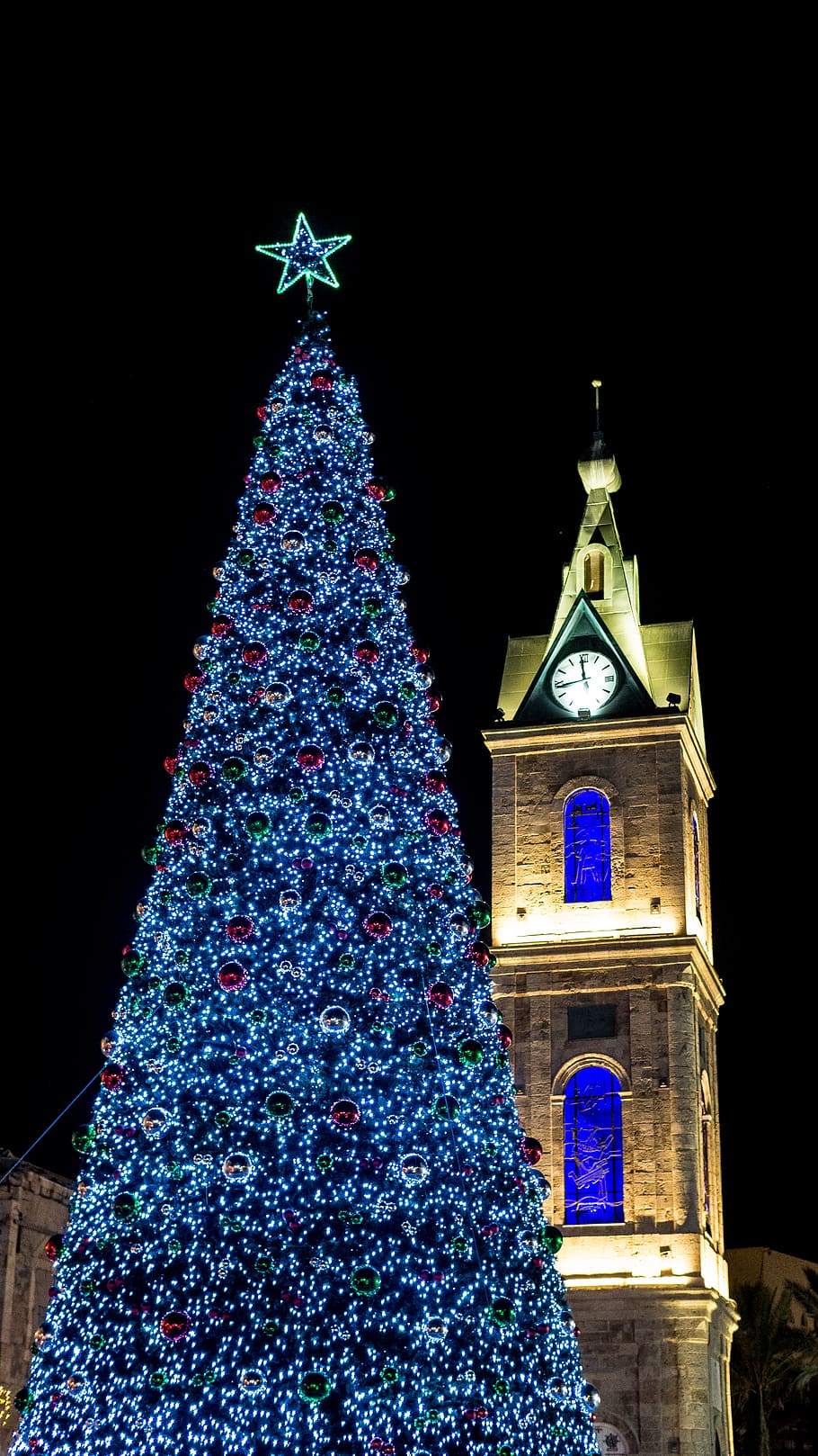 israel, jaffa, christmas tree, celebration, night, religion HD wallpaper
