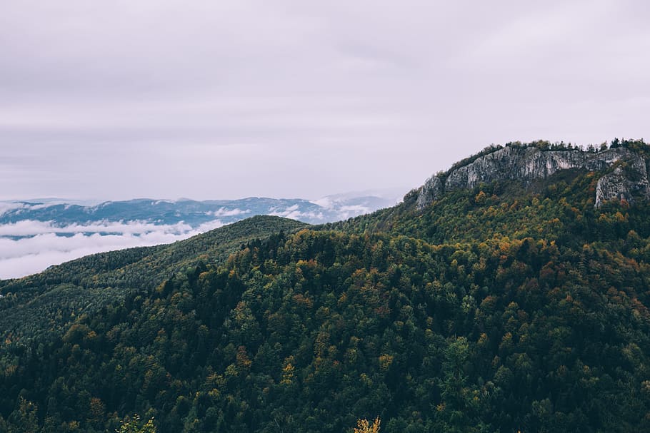 mountain, green, tree, landscape, rock, rocky, cloud, cloudy HD wallpaper