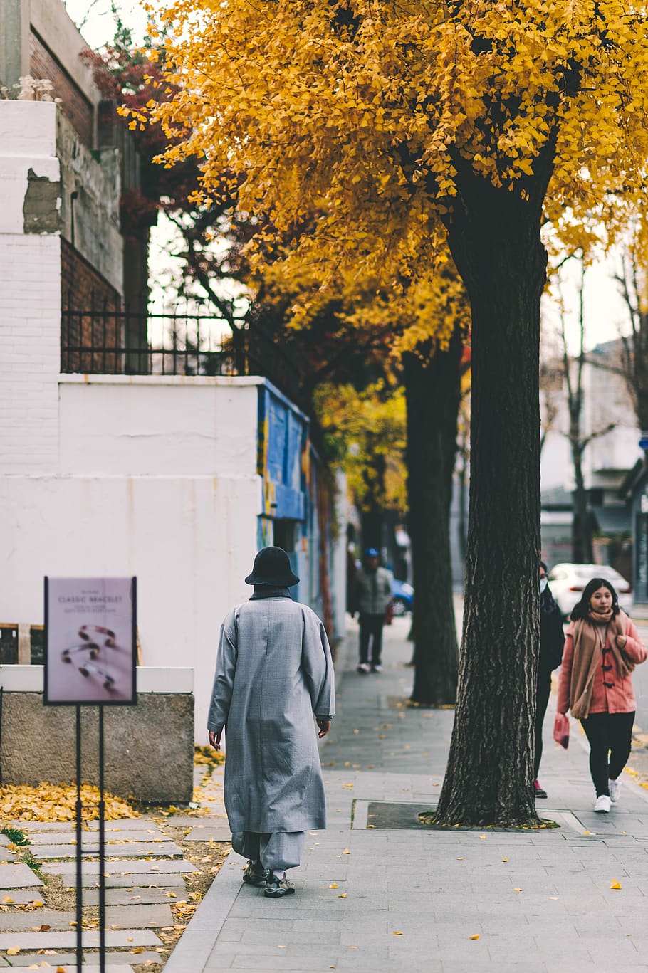 man walking on sidewalk, human, person, clothing, apparel, pedestrian HD wallpaper