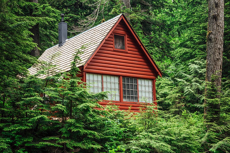 cabin surrounded by trees, building, house, forest, nature, housing HD wallpaper