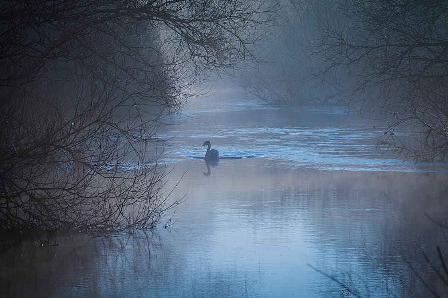 Surrounded by water