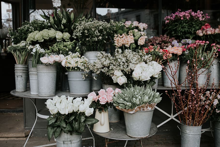 assorted-color-petaled-flowers.jpg