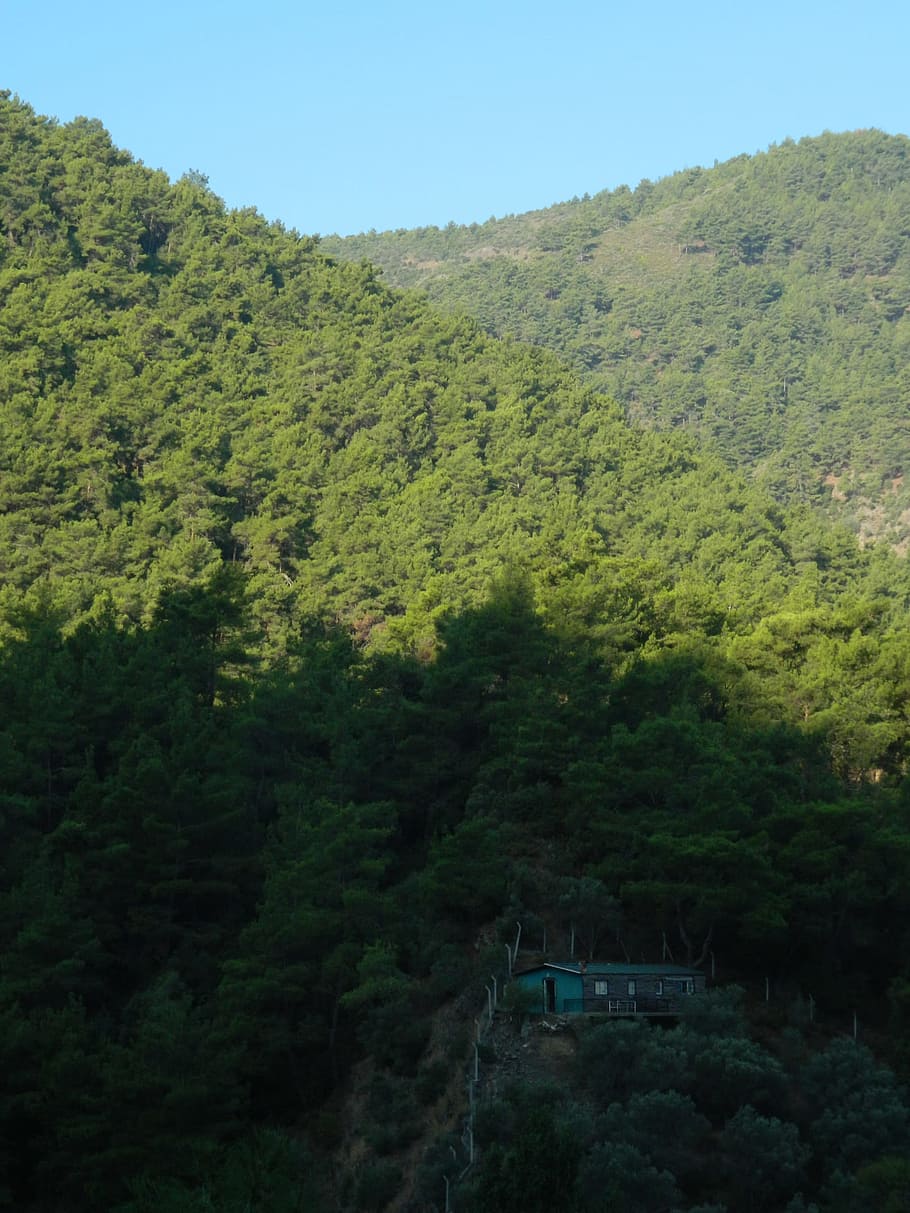 old, cabin, hills, forest, green, nature, mountains, trees HD wallpaper