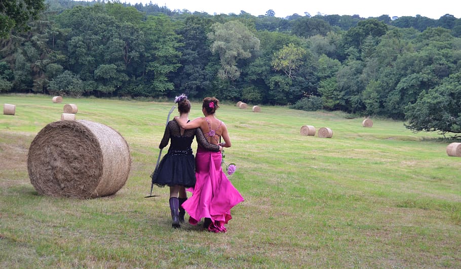 united kingdom, devon, countryside, shoot, sisters, style, nature HD wallpaper