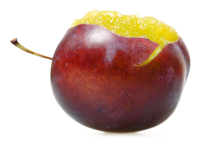 fresh, plum, bite, closeup, fruit, isolated, object, plant HD wallpaper