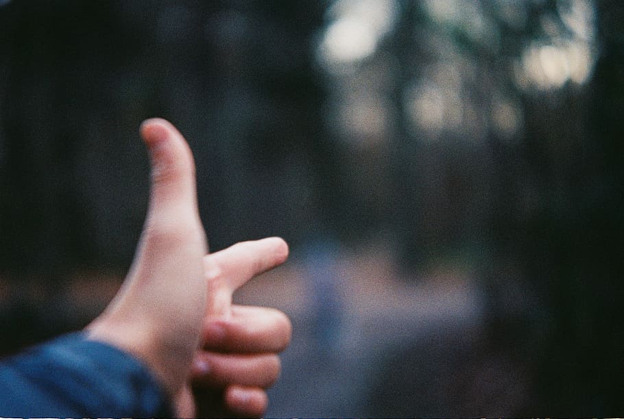 netherlands, tilburg, forest, human body part, human hand, gesturing HD wallpaper