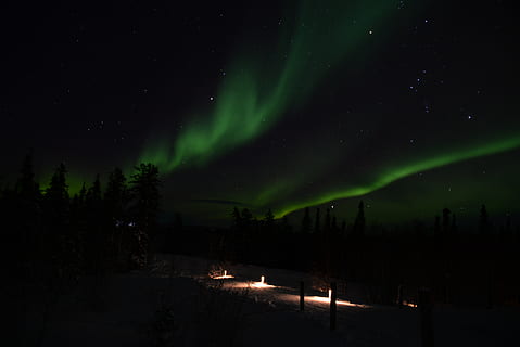 canada, yellowknife, night, beauty in nature, space, sky, star - space HD wallpaper