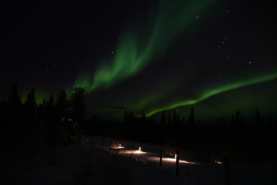 canada, yellowknife, night, beauty in nature, space, sky, star - space HD wallpaper