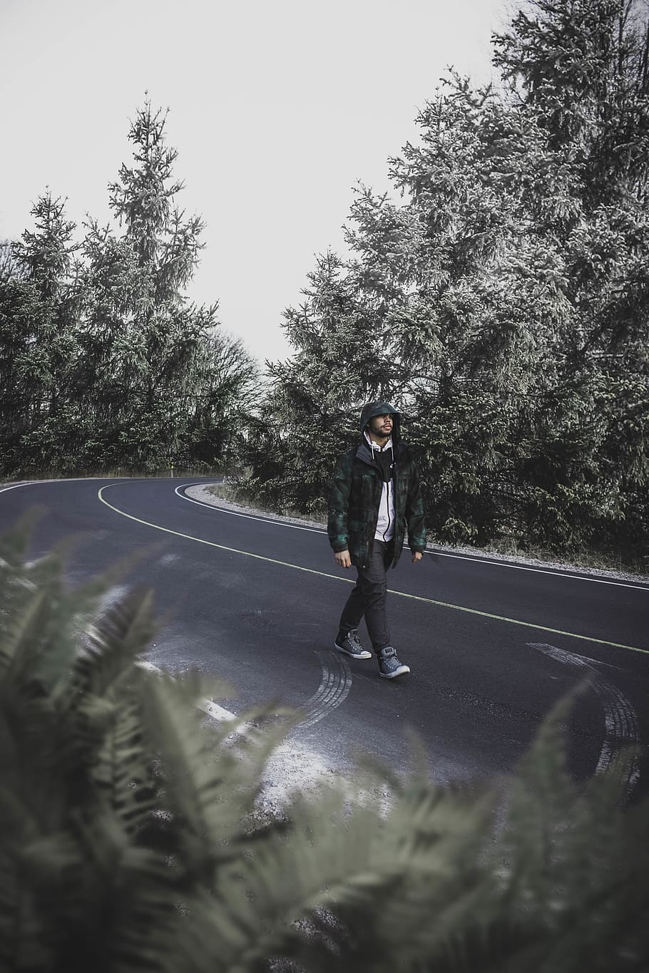 man walking on street between trees, plant, one person, full length HD wallpaper