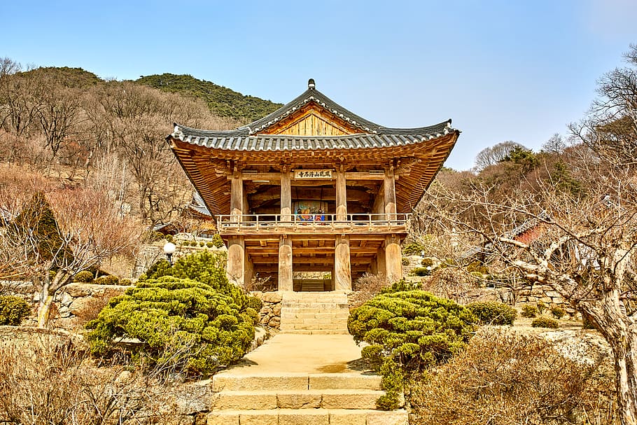 south korea, architecture, built structure, tree, plant, building exterior HD wallpaper