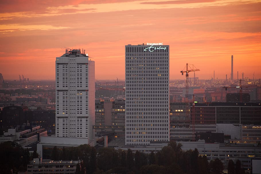 erasmus mc, rotterdam, netherlands, building exterior, architecture HD wallpaper