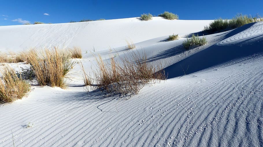 nature, sand, white, desert, park, america, landscape, sky HD wallpaper