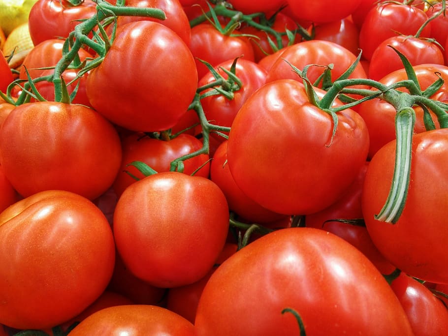 food, vegetable, food and drink, healthy eating, red, freshness HD wallpaper