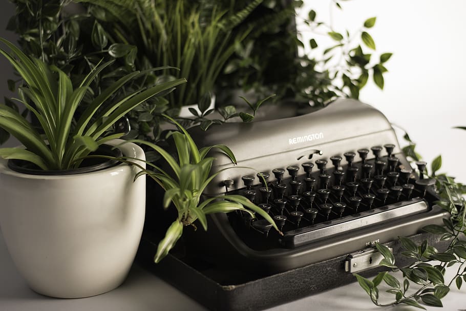 silver typewriter surrounded with green leafed plant, plant part HD wallpaper