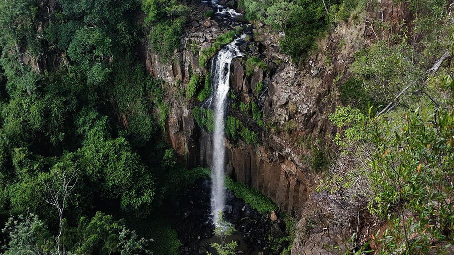 waterfall, plants, mountain, green, trees, rocks, wallpaper HD wallpaper