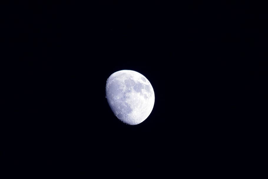 gray moon digital wallpaper, night, dark, space, moonlight, astronomy HD wallpaper